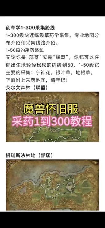 魔兽世界采药加什么属性