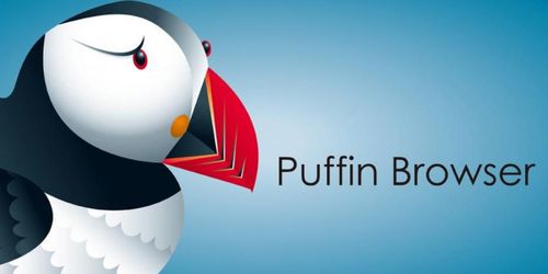 PuffinBrowser官方正版