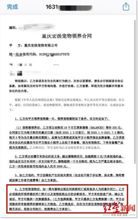 宠物领养协议
