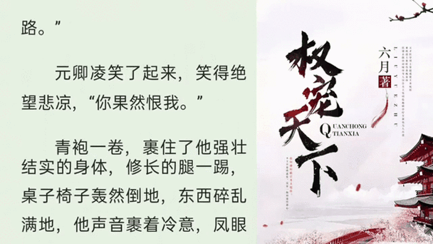 权宠天下全文免费阅读穿越小说