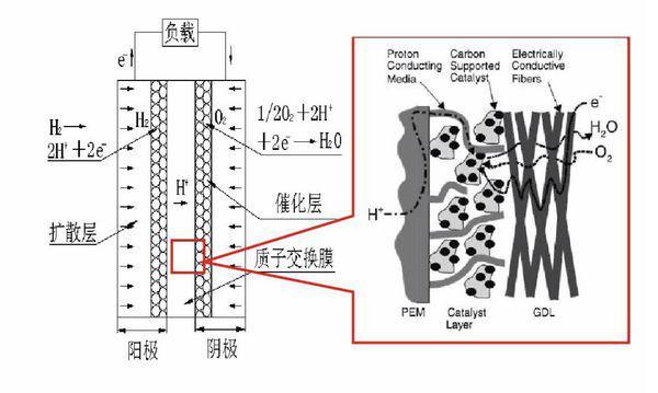 质子交换膜允许什么离子通过