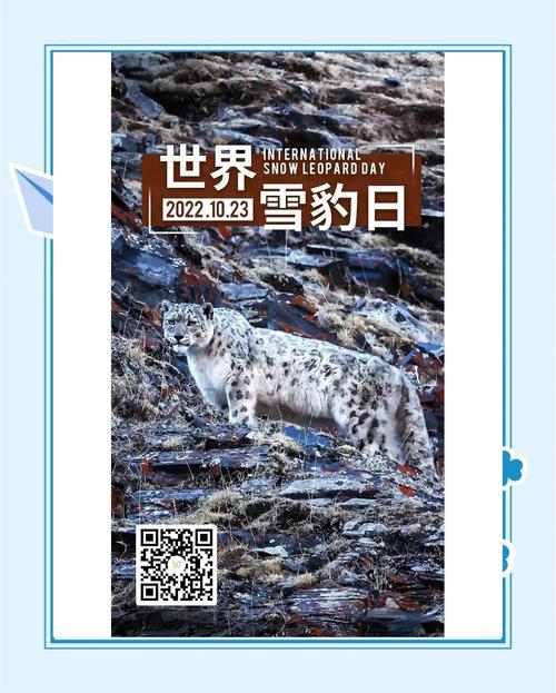雪豹视频官方下载