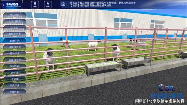 养羊赚钱APP