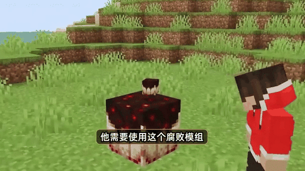 我的世界吞噬母体
