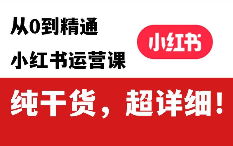 小红书合集是什么意思