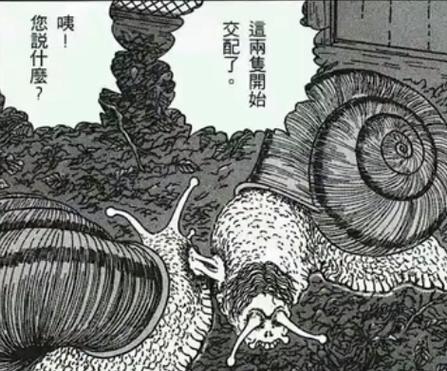 蜗牛人视频截图