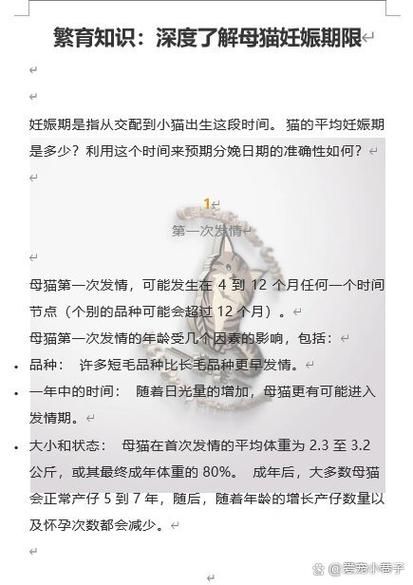 猫咪一窝能生几只小猫