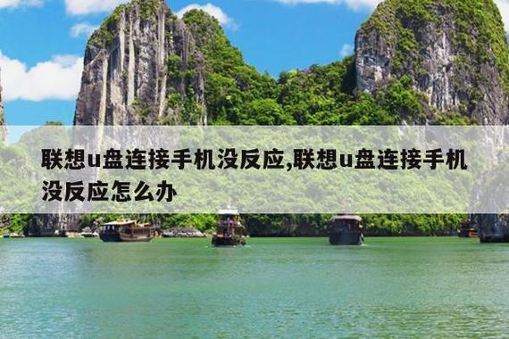 u盘通过转接头插手机没反应