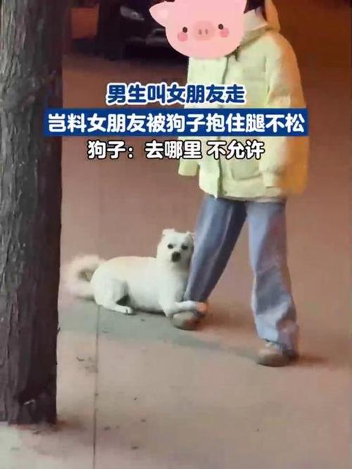 男生叫女生小狗子