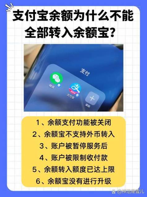 余额宝为啥转不进去钱