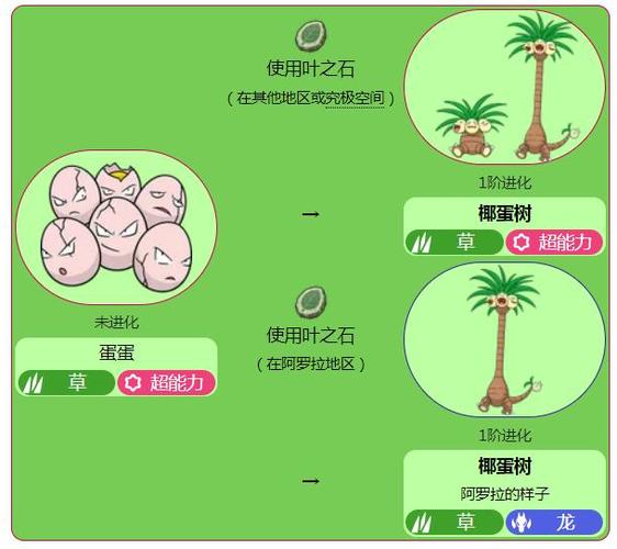 阿罗拉椰蛋树在哪里换