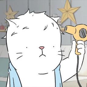 沙雕动画猫猫动漫