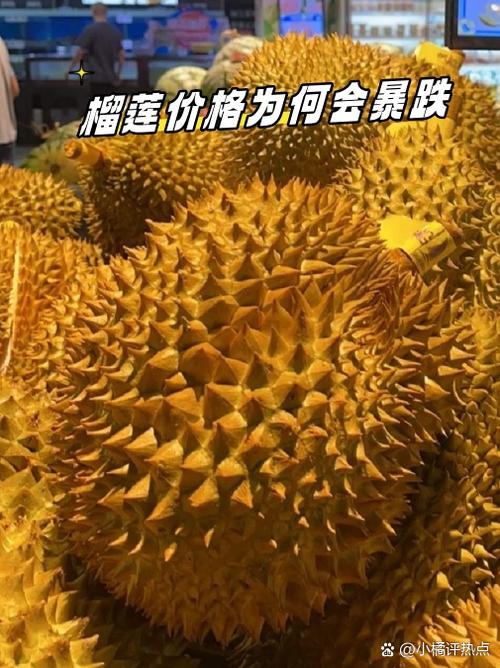 赚钱买榴莲歌图标