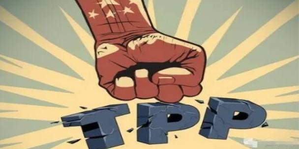 TPP是什么意思截图