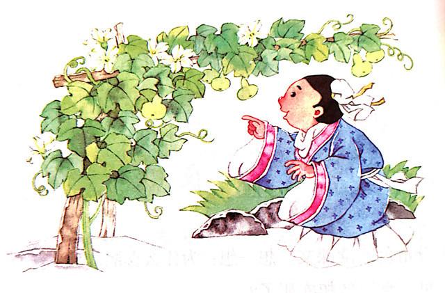 我等的是桃子阅读理解