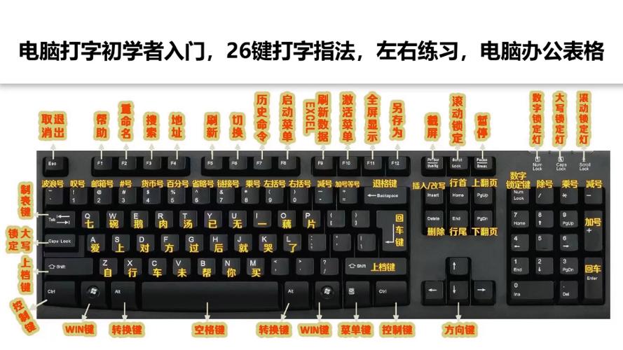 电脑入门基本知识视频