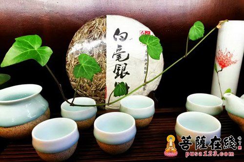 新白茶和老白茶的图片
