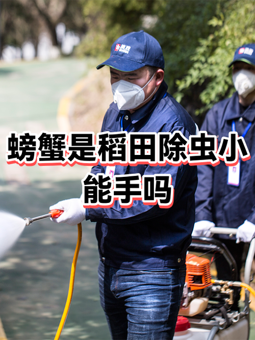 螃蟹壳堵马桶多久会腐烂