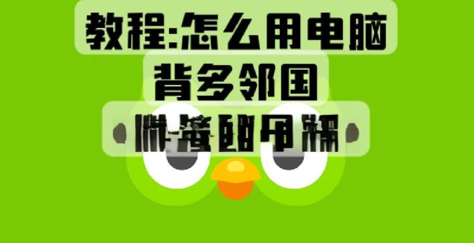 多邻国应该怎么学截图
