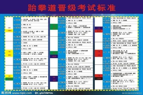 晋级红带考级内容