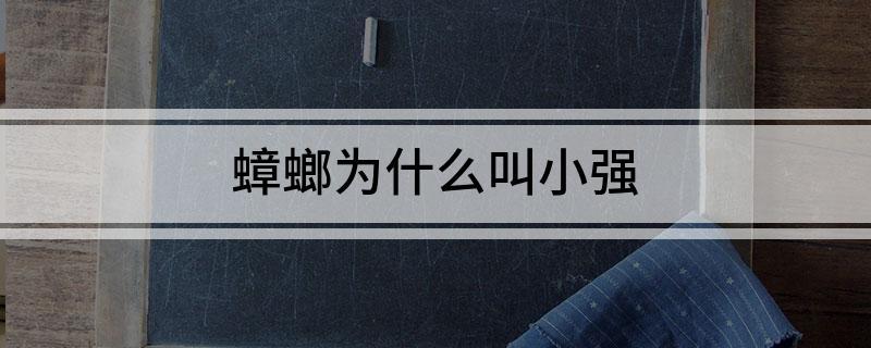 蟑螂为啥叫小强