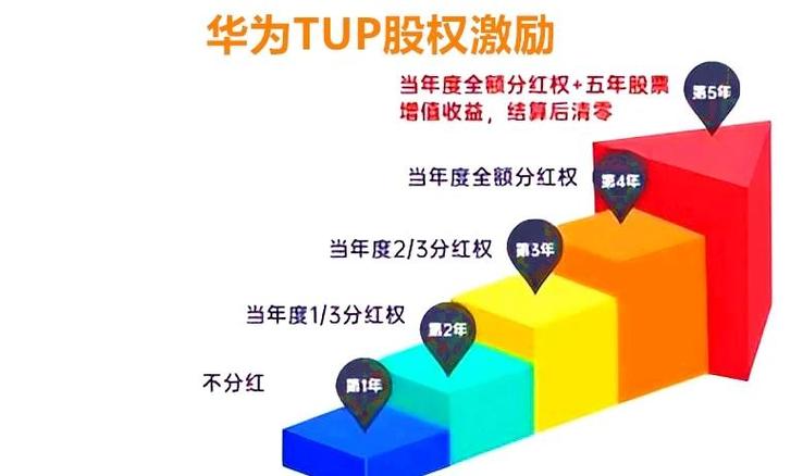 华为tup分红规则