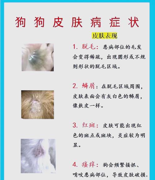 狗狗皮肤痒一直挠怎么办游戏截图