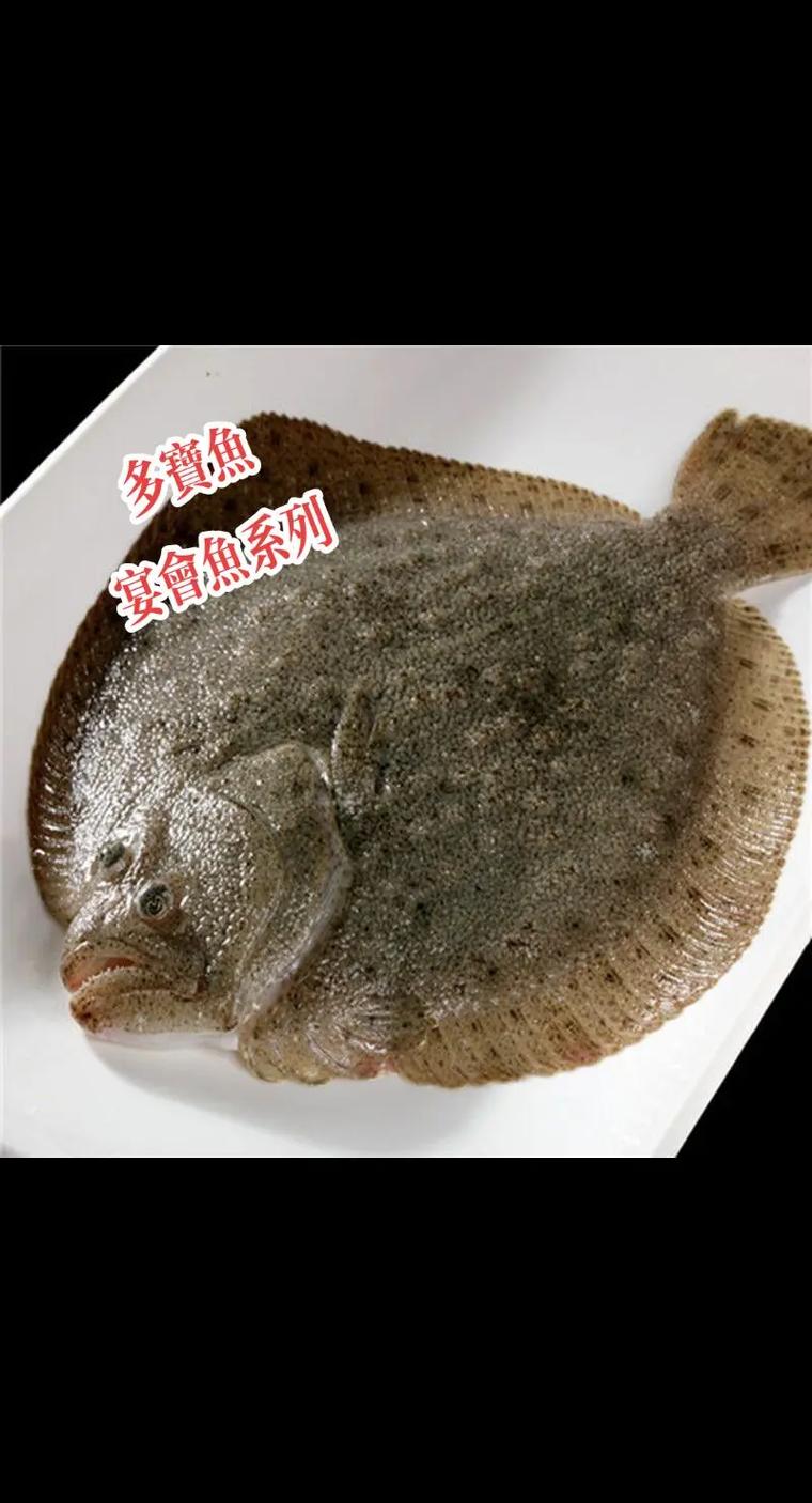 和多宝鱼长得像的鱼是什么鱼