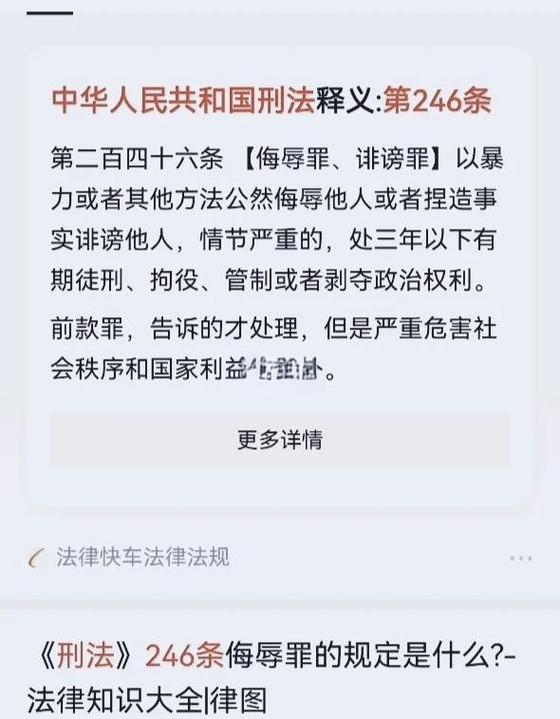 夏公海涉及罪名详情截图