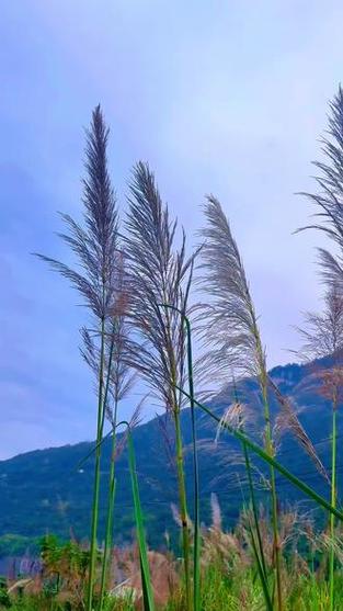 “入目皆是景,入心皆人生”游戏截图