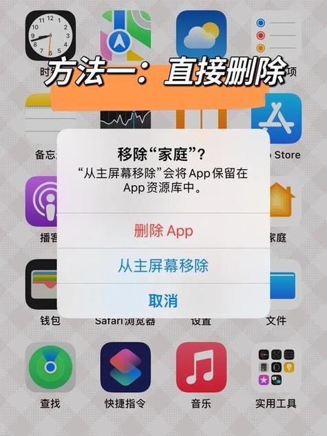 蘑菇tv最新登录入口