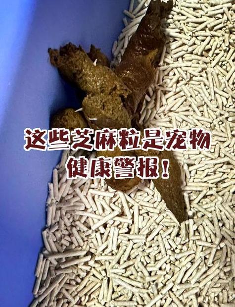 为什么不能攒芝麻粒了