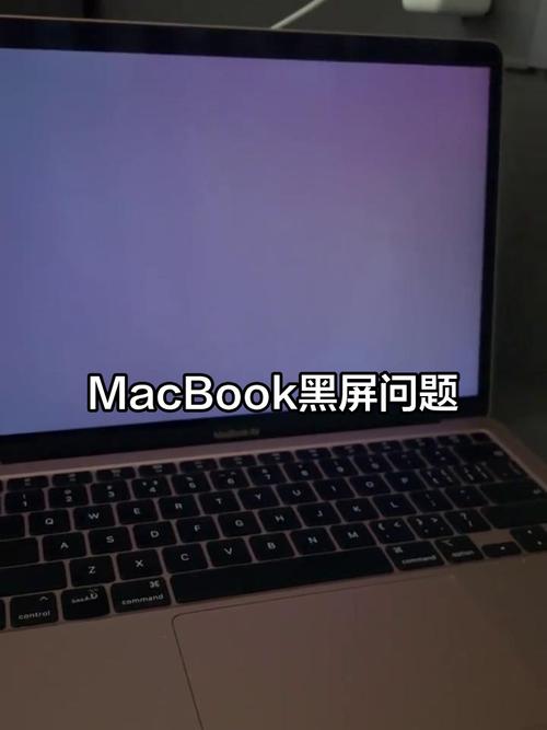 苹果电脑无法进入界面