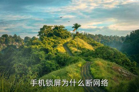 手机一锁屏就断网怎么回事