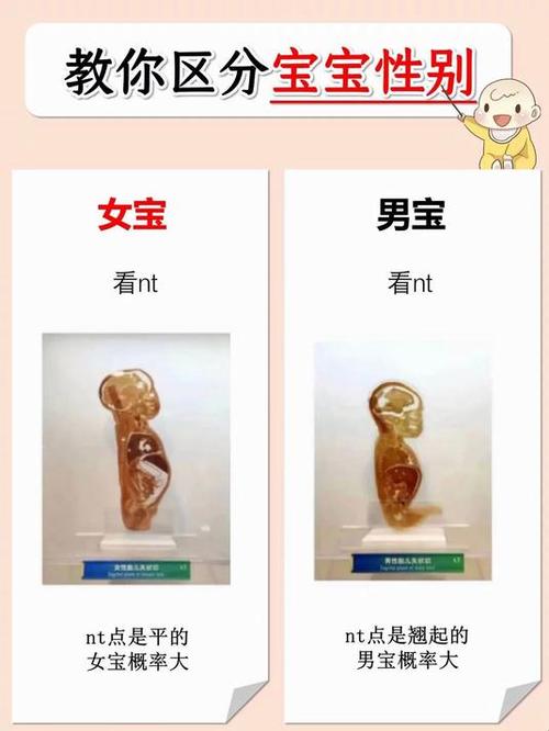 孩子是谁的可能性大