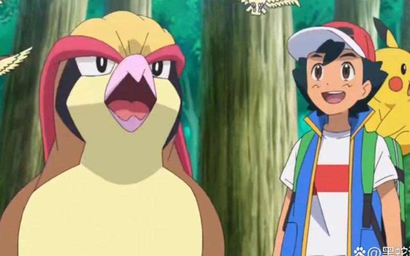宝可梦肉鸽6.7