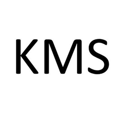 kms是啥图标