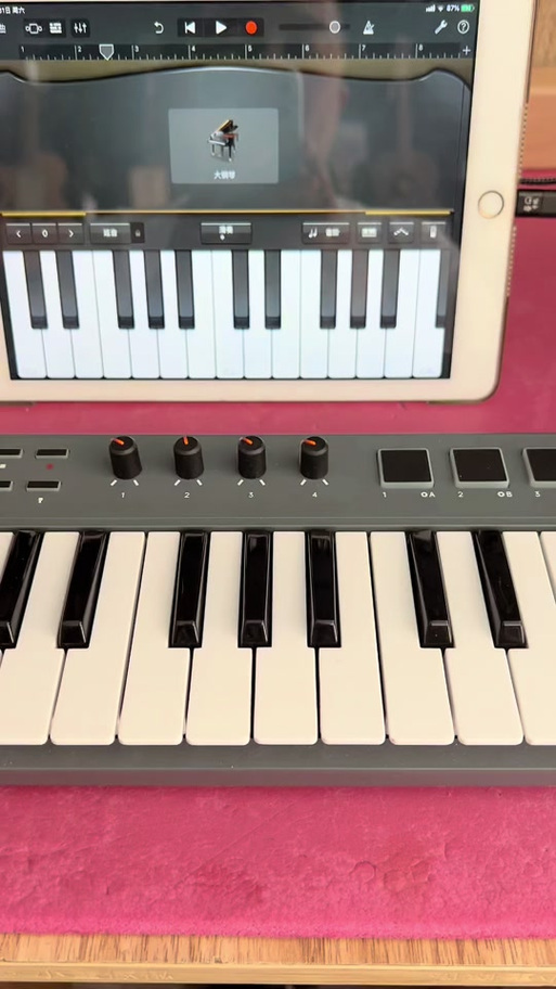 midi版