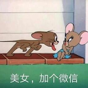 加微信表情包图片