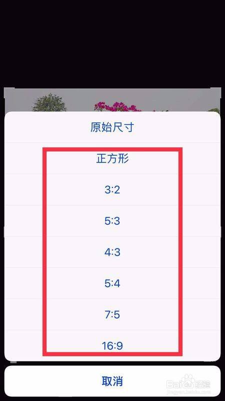 苹果手机相机尺寸怎么设置16:9缩略图