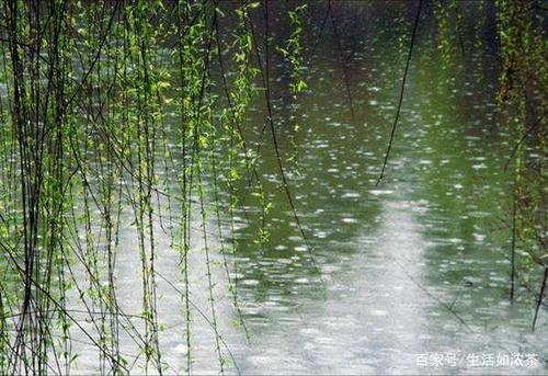 春雨是什么样的