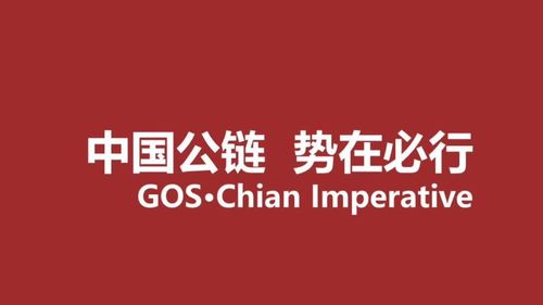 中国公链缩略图