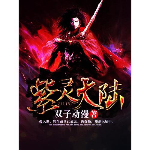 紫灵大陆双子动漫