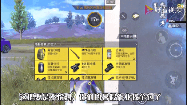 和平精英捡