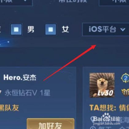王者荣耀助手查看好友