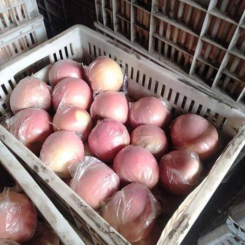 零下3℃苹果在纸箱能冻吗