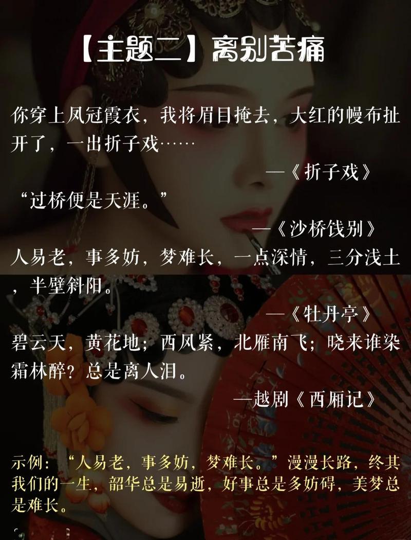 戏曲字幕app