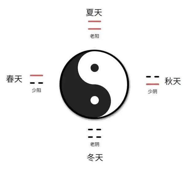 太极分两仪,两仪生四象,四象分八卦,八卦衍万物