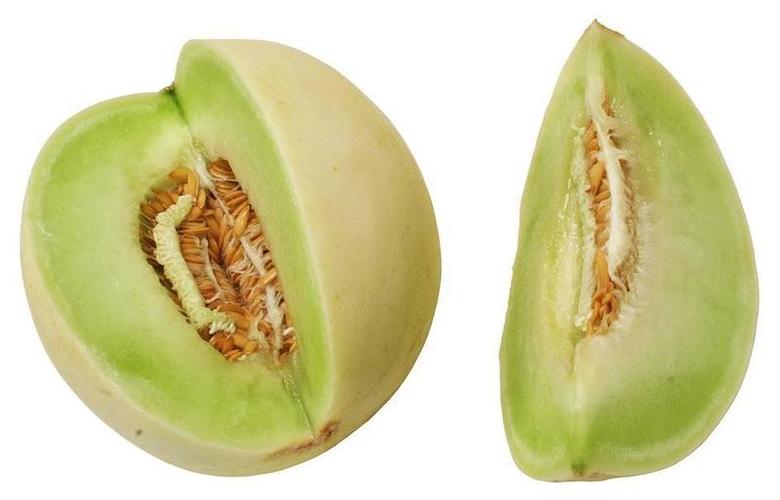 哈密瓜英语honeydew