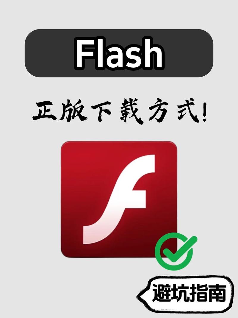 flash安装失败解决方法缩略图